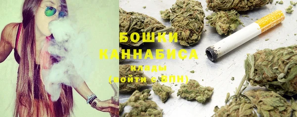 дживик Зеленокумск