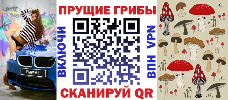 Галлюциногенные грибы мухоморы  Купить где  Заинск 