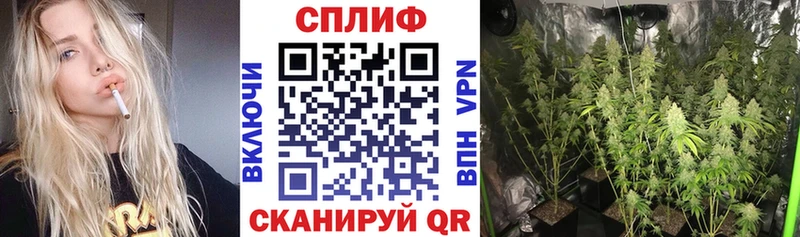 Конопля MAZAR  Купить закладки  Заинск 